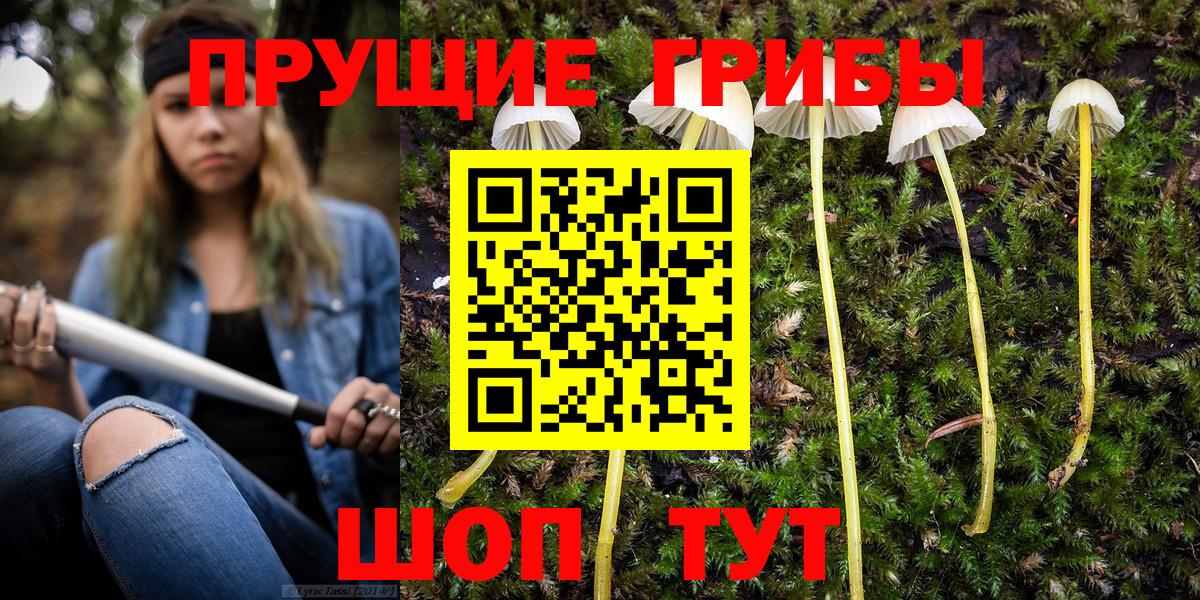 Псилоцибиновые грибы Magic Shrooms Стрежевой