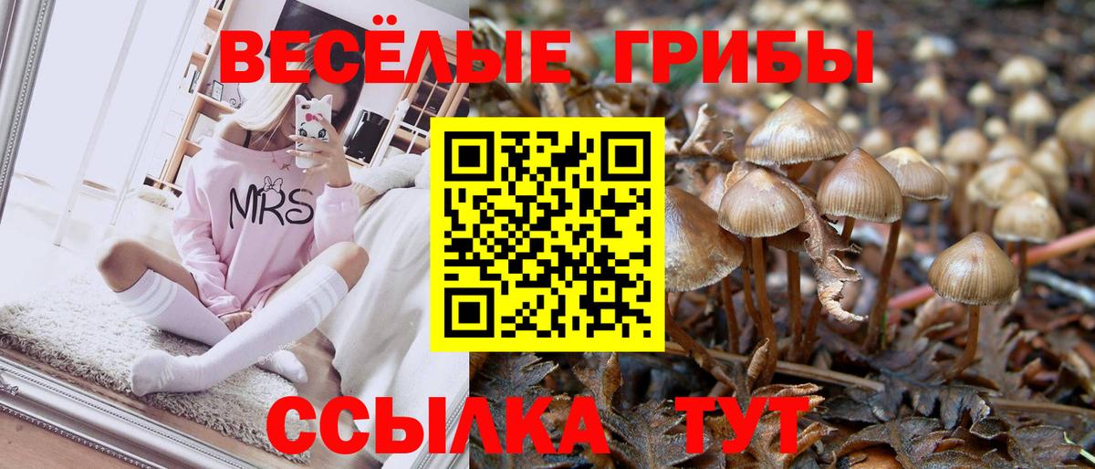 Стрежевой  Галлюциногенные грибы мицелий  Вход с VPN  Псилоцибиновые грибы ЛСД 